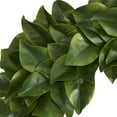 thumbnail image 2 of Nearly Natural 30in. Magnolia Artificial Wreath, Green, 2 of 4