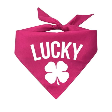 Lucky Triangle Dog Bandana
