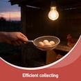 thumbnail image 3 of BRIGHTFUFU Recogedor Para Gallinas Con Mango Para Uso Eficiente En Granjas, 3 of 8