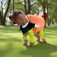 thumbnail image 4 of KMWGRE Unique Pumpkin Dog Outfits Fashionable Pet For Halloween Holiday Party Dress Up Celebration Show Star D XL, 4 of 5