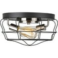 thumbnail image 3 of Progress Lighting, Gauge Collection, 2-Light Flush Mount, Graphite Finish, Open Cage Design, Steel Frame, 3 of 4