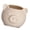 Light skin tone, variant on Lovely Cartoon Pigs Planter Decorative Garden Pots Unique Pigs Themed Small Planter for Growing Miniature Succulents