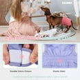thumbnail image 2 of CALHNNA 4 Pack Highly Absorbent Reusable Dog Period Diaper Female Doggie Diapers for Heat Cycle, 2 of 5