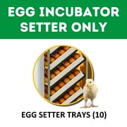 Hatching Time HB350 S - Egg Incubator - Setter (High Hatch Rate, 2 Doors, Set & Forget Design) | Cimuka