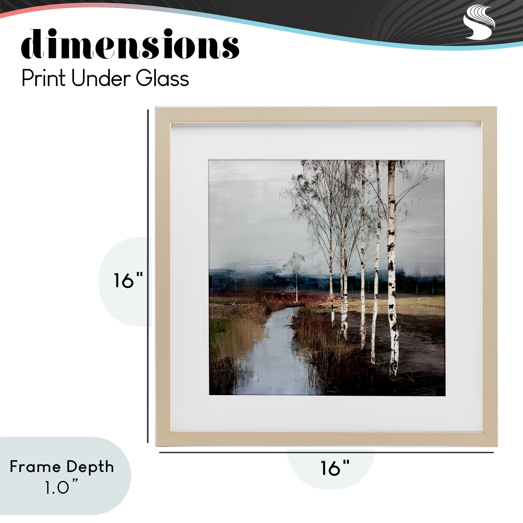 Stupell Industries Birch Creek River Birch Framed Print Under Glass, design by Kim Curinga