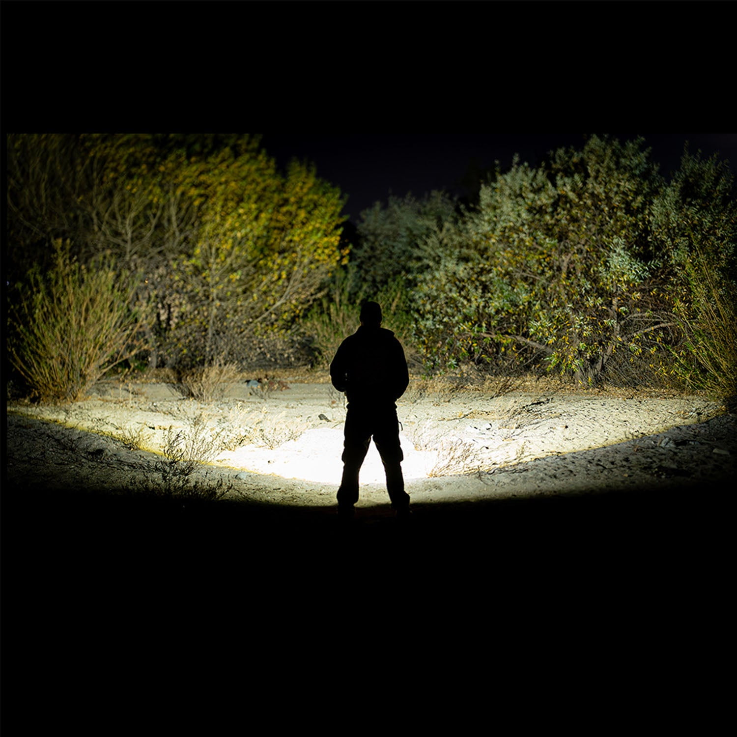 Police Security Skylar-R Flashlight