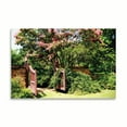 thumbnail image 2 of Gango Home Decor Crepe Myrtle I by Alan Hausenflock (Printed on Paper); One 36x24in Fine Art Paper Giclee Print, 2 of 4
