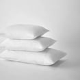 thumbnail image 2 of Bouclair Oreiller de Base Blanc de Base King, 2 of 4