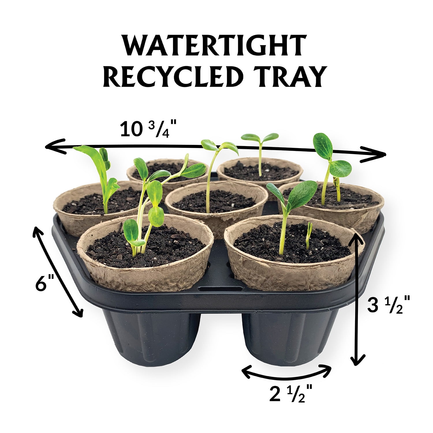 Ferry-Morse Seed Starting Kit with 3-inch Plantable Fiber Pots