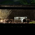 thumbnail image 2 of MLINS Modèle de Tronc d'Arbre Simulation Cachette pour Reptiles Grotte en Résine Creuse Tronc d'Arbre Ornement d'Aquarium, 2 of 7