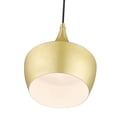 thumbnail image 2 of 41186-33-Livex Lighting-Waldorf - 1 Light Pendant In Industrial Style-18 Inches Tall and 9.5 Inches Wide-Soft Gold/Polished Brass Finish, 2 of 13