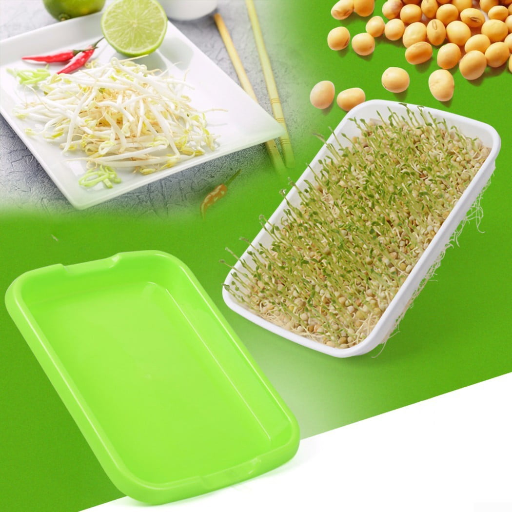 2 Layer  Sprouter Tray Wheatgrass Grower With Lid Germination Kit Extra Sma 