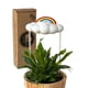 thumbnail image 4 of Yuarrent Gota de goteo, accesorios para plantas bonitos y a la moda, regalo para amantes de las plantas, regalos de plantas Jardín y Patio nubes arcoiris, 4 of 6
