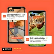 coop Smart Coop for 4 to 6 Chickens with Steel Run, 100-000