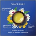 thumbnail image 6 of Motherlove Everyday Baby Balm, Gentle Herbal Baby Moisturizer, 2 Ounce, 6 of 6