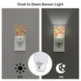 thumbnail image 5 of Uemuo Donut and Blue Night Light, Night Lights Plug into Wall, Dusk to Dawn Sensor Warm White Led Night Light 0.5W-US, 5 of 9