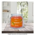 thumbnail image 4 of Vela Mainstays Mandarina 85 G, 4 of 4
