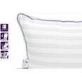 thumbnail image 4 of Two (2) Pack Pillows - Luxury Synthetic Down Alternative Pillows - Queen Anne Pillow Co. Majesty Down - Hypoallergenic Allergy Free Bed Pillows - Made in USA (King Soft), 4 of 9