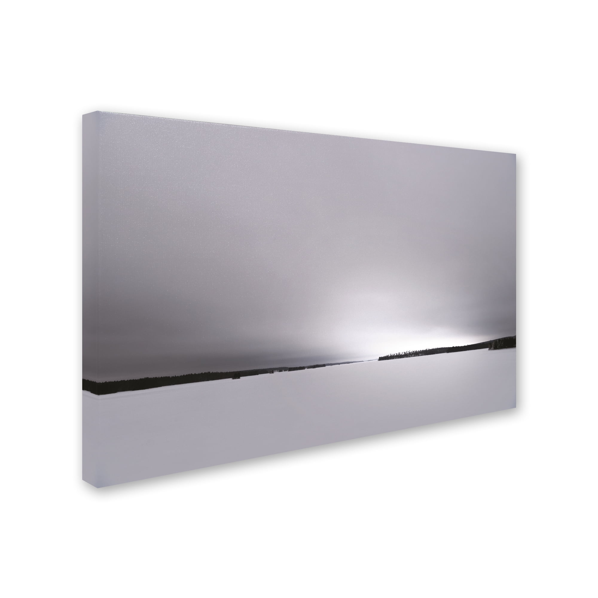Trademark Fine Art 'Neutral Gray Finnish' Canvas Art by Philippe Sainte-Laudy