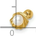 thumbnail image 2 of 14K Yellow Gold Scallop Shell With Freshwater Cultured Pearl Labret Stud (11.4 X 6.26) Made In Vietnam bd178, 2 of 5