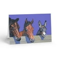 thumbnail image 2 of Assorted Horse Blank Note Cards - 12 Assorted Note Cards with Envelopes - Horese, 2 of 7