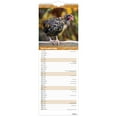 thumbnail image 4 of Chickens 2026 5.7x16.5" (Hanging) Monthly Slimline Wall Calendar | BrownTrout, 4 of 9