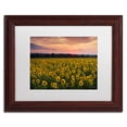 thumbnail image 2 of Trademark Fine Art "Sunflower Taps" Canvas Art by Michael Blanchette Photography White Matte, Wood Frame, 2 of 3
