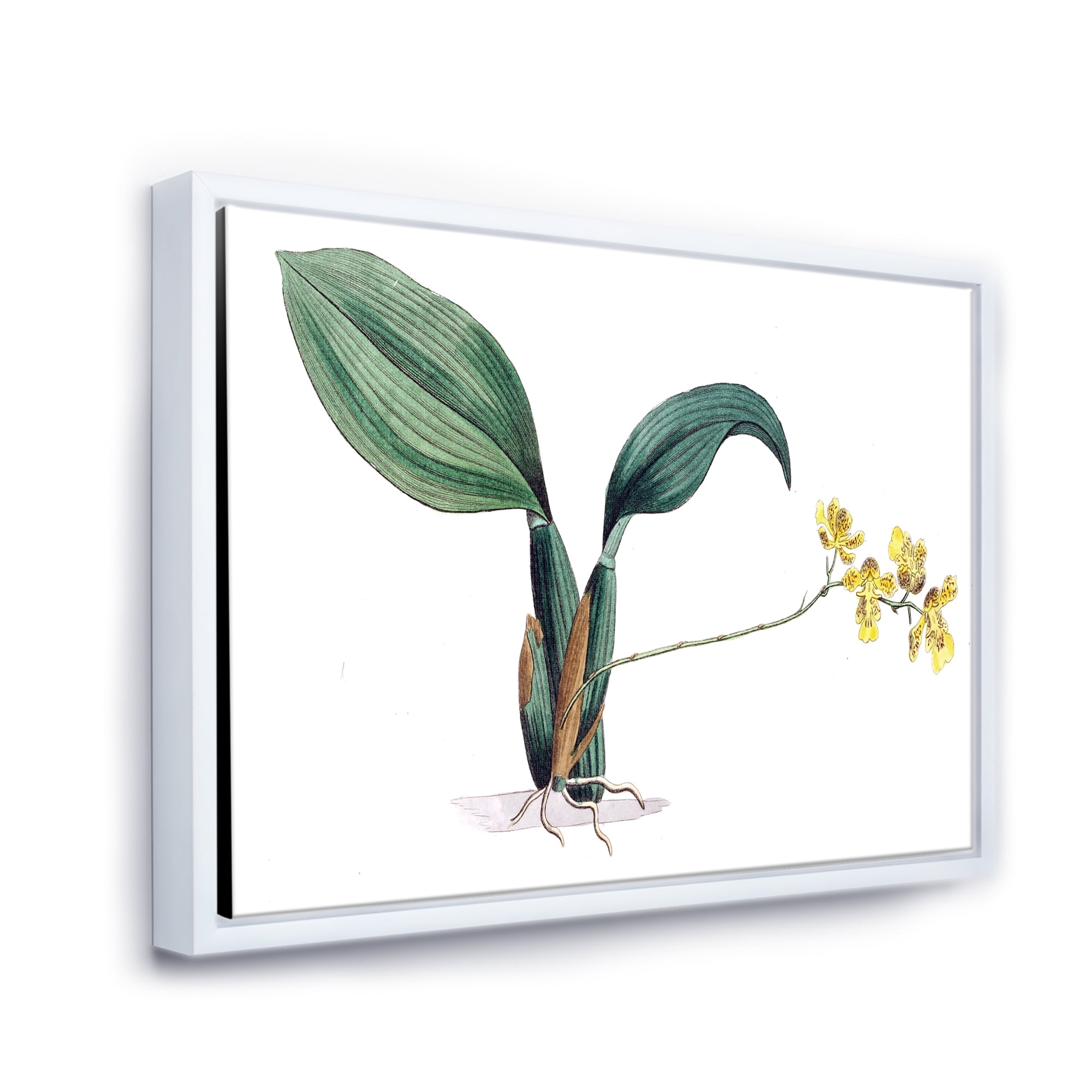 Designart 'Ancient Plant Life VI' Traditional Framed Canvas Wall Art Print