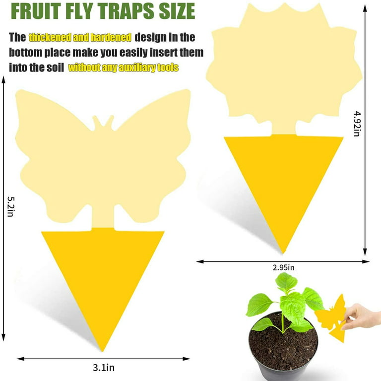  BugMD Sticky Bug Traps (12 Pack) - Indoor Fruit Fly Killer,  Fungus Gnat Killer, Plant sticky traps for Bugs, Yellow Sticky Fly Traps  for Plants, Gnat for Plants, Odorless 
