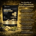 thumbnail image 7 of Natural Himalayan Shilajit Gummies 3000mg with Ashwagandha, Ginger & Turmeric, Wellness Supplement, Pack 4, 7 of 7