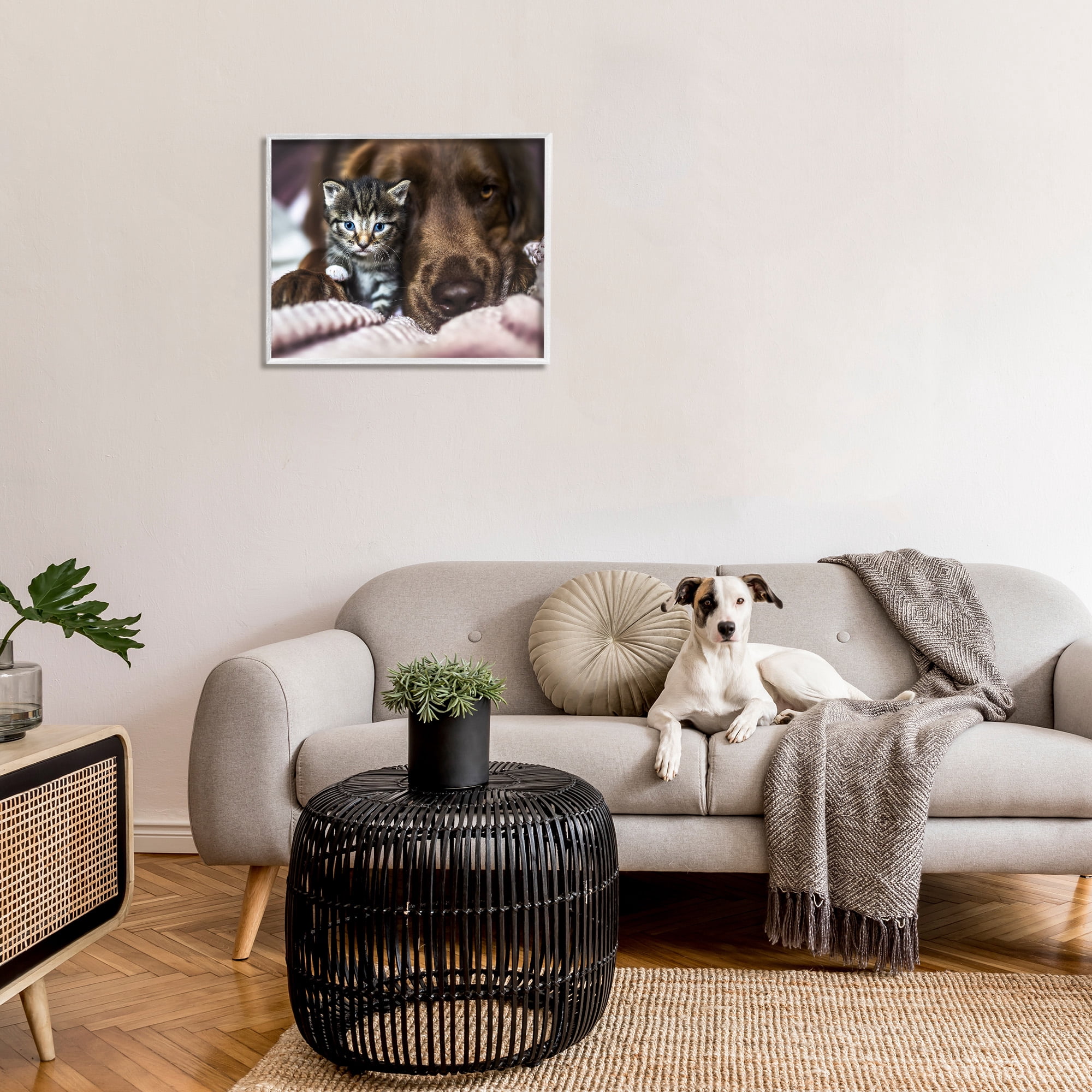 Stupell Industries Kitten & Dog Snuggling Animals & Insects Painting White Framed Art Print Wall Art, 30 x 24
