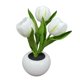 thumbnail image 2 of Luz de noche Flores artificiales Lámpara de flores Luz LED para adultos en el hogar al aire libre tulipanes blancos Zulema Luz de noche, 2 of 8