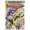 thumbnail image 1 of The Amazing Spider-Man #193 Comic Book, 1 of 2