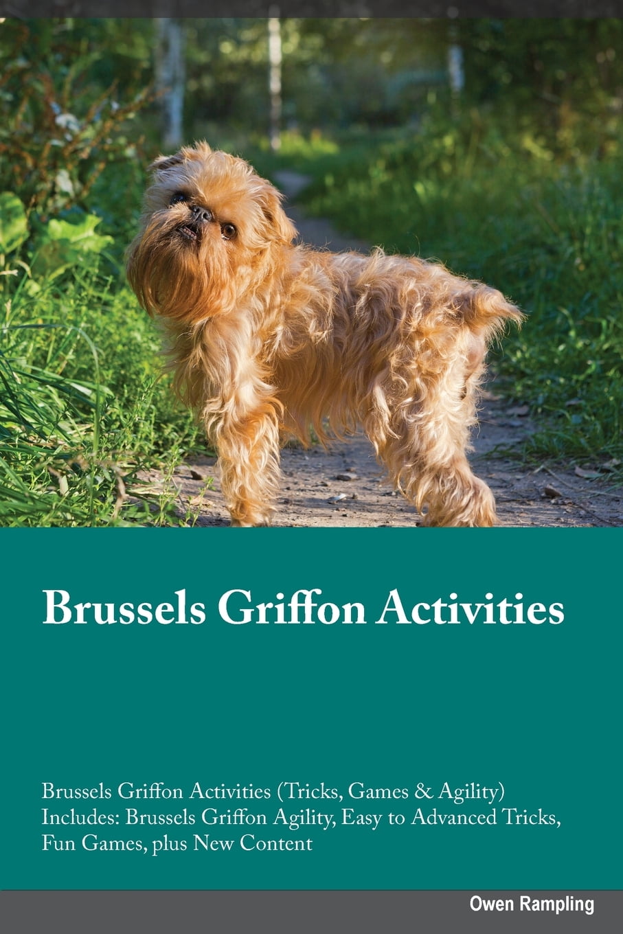 Brussels Griffon Activities Brussels Griffon Activities (Tricks, Games