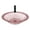 A, variant on Outdoor Bird Bath for Parakeets and Cockatiels Outdoor Bird Feeders and Waterer for Budgerigar and Parrots Shower