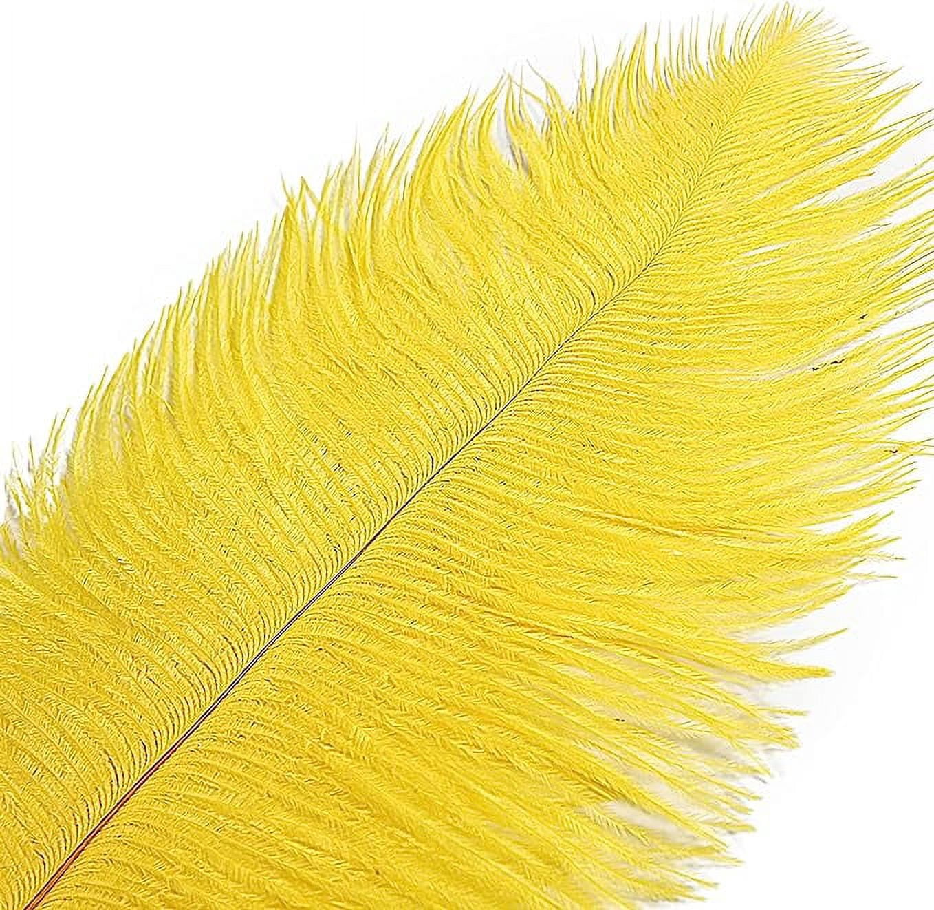 NAMZI 12pcs Yellow Bulk Natural Ostrich Feathers 16-18Inch (40cm-45cm), Perfect for Wedding, Party Centerpieces, Easter & Home Decoration