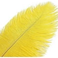 thumbnail image 3 of Nvzi 12 plumas de avestruz rojas naturales a granel de 16 a 18 pulgadas, 40 a 45 cm, para centros de mesa de bodas, fiestas, Pascuas, Gatsby y decoración del hogar, plumas de avestruz, 3 of 5