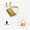 A 16x23mm, variant on 25pcs Golden Triangle D-Ring Photo Picture Frame Hanger Hang Oil Painting Mirror Art Work Hooks Small Double 2 Holes with screws