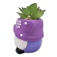 thumbnail image 3 of Maceta Prichos con Diseño de Gnomo con Planta Artificial 9.3 cm Varios Modelos 1 Pieza Multicolor, 3 of 4
