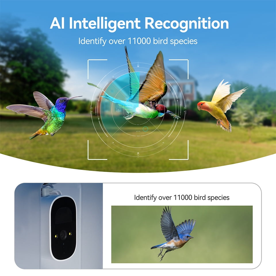 SC101 Smart Bird Feeder With Camera Auto Capture HD Bird Videos For Birdwatcher IP66 Waterproof