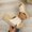 Beige, variant on Slip-On Sandals Medium Arch Espadrilles Open Toe platform sandals for Women High Heel platform sandals Arch Support Slip-Resistant Platform