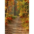 thumbnail image 1 of DPTALR Dreamlike Vinyl Wall Floor Photography Studio Prop Backdrop Background 3x5FT C, 1 of 3