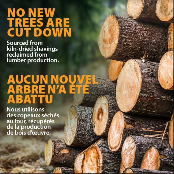 Litière pour chat naturelle non agglomérante Feline Pine Arm & Hammer, 9,07 KG, parfum naturel de pin, contrôle efficace des odeurs, sécuritaire pour les chatons Pin naturel