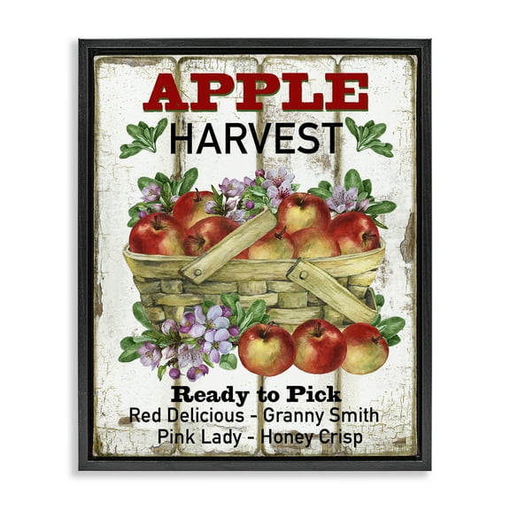 Stupell Industries Fresh Apple Harvest Food & Beverage Painting Black Floater Framed Canvas Art Print Wall Art, 17 x 21