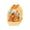 B, variant on 50 Pack Thanksgiving Clear Treat Bags with Handle, PET Transparent Candy Pouches, Fall Harvest Goodie Bags for Party Favors, Cookie & Snack Packaging