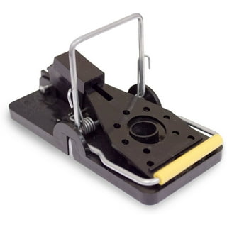 Catchmaster Easy Set Mouse Snap Trap (605P)