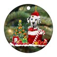 thumbnail image 2 of Adorno de Navidad Árbol encantador Regalo Adorno Árbol de Navidad Decoración de fiesta colgante Wmkox8yii fhajkh5981, 2 of 4