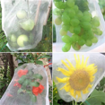 thumbnail image 3 of Sac de Protection pour Fruits Sac en Filet avec Cordon Sac en Filet Couvert pour Plantes, Fruits et Légumes, 3 of 6