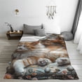 thumbnail image 5 of Honeii Serene Kitten Kingdom Print Fleece Blanket - Throw Blanket for Bed, Sofa, Couch, Camping, and Travel , Microplush Ultra Soft Warm Blanket-60"x50", 5 of 7