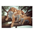 thumbnail image 2 of Royal & Langnickel Painting by numbers™ 13pc African Leopard & Cubs Painting Project, 2 of 2